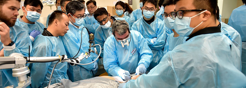 5th Head & Neck Dissection and Reconstruction Hands-on Course 7