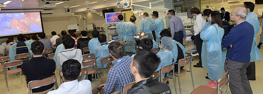 6th Head & Neck Dissection and Reconstruction Hands-on Course 3