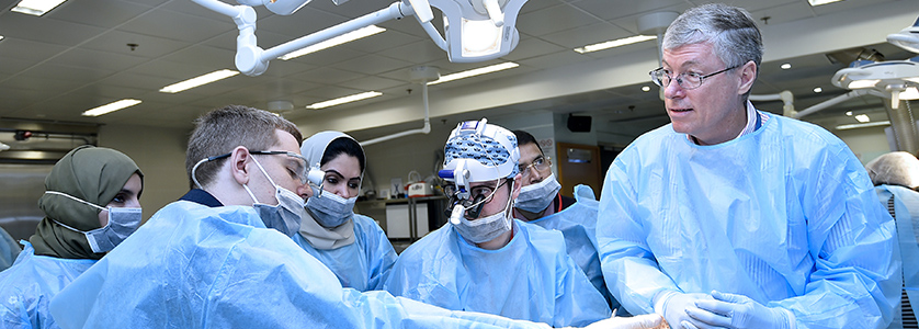 6th Head & Neck Dissection and Reconstruction Hands-on Course 7